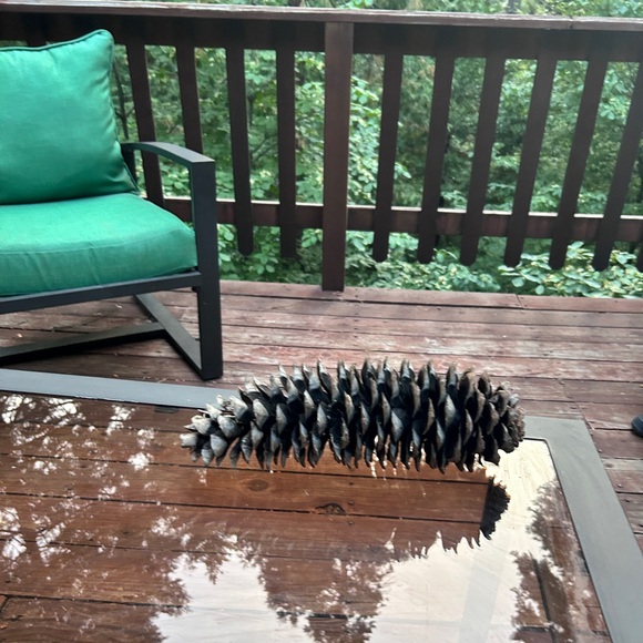 Meet your Posher, Sheila - Picture 10 of 15